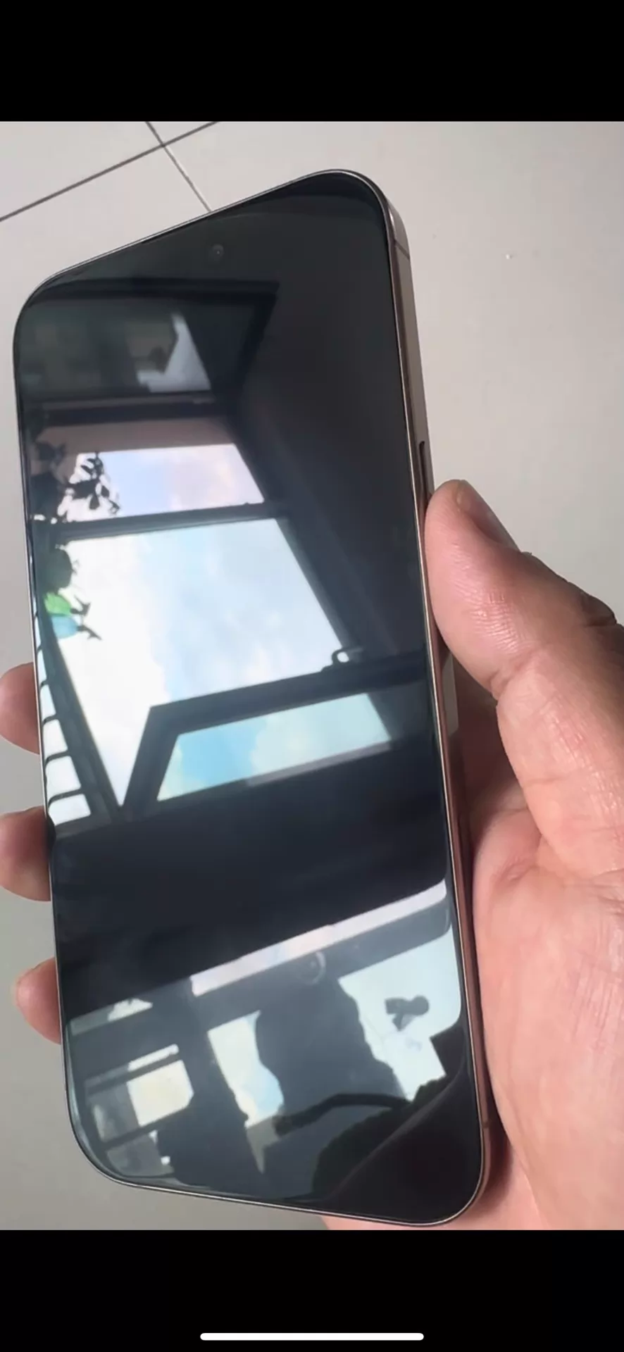 Apple iPhone 16 Pro Max 256G 95新